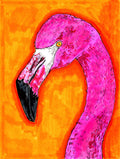 Flamingo 8x10