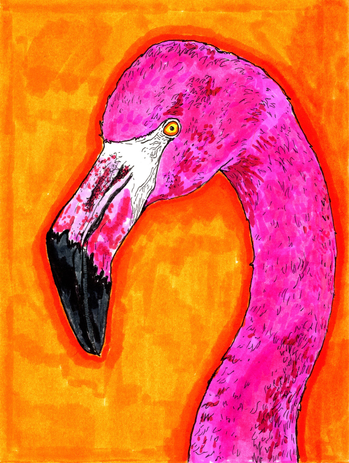 Flamingo 5x7