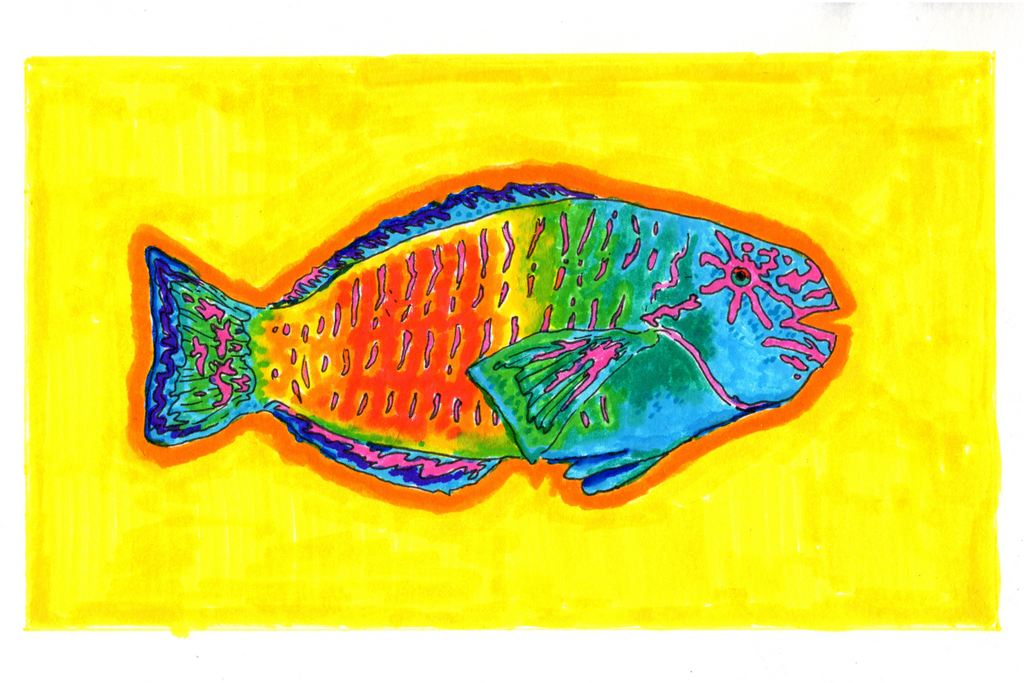 Uhu Fish 5x7